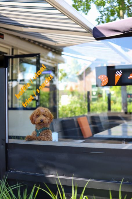horecafotografie-plein5-dog-the-delicious-connection